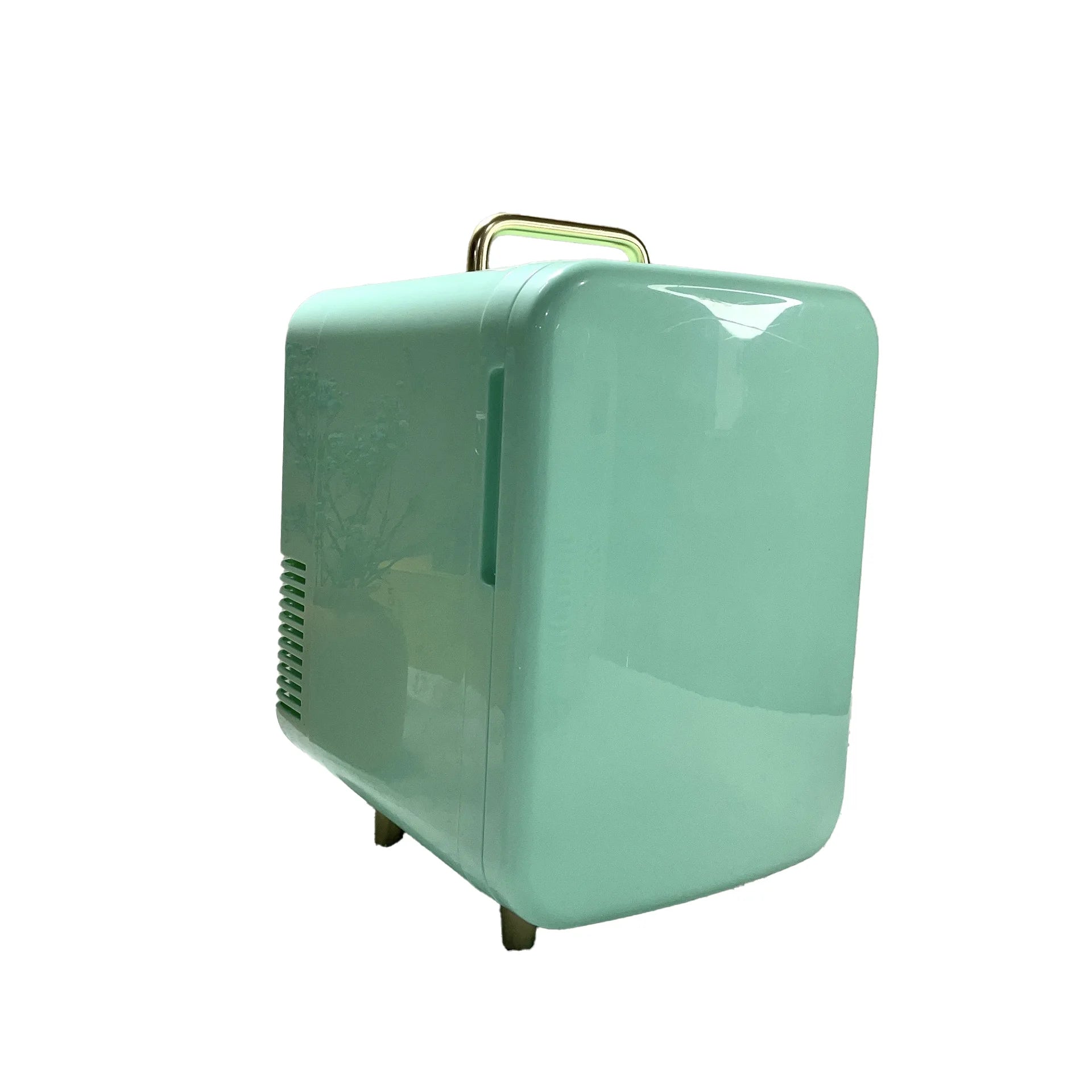Small Portable Mini Refrigerator Beauty Fridge