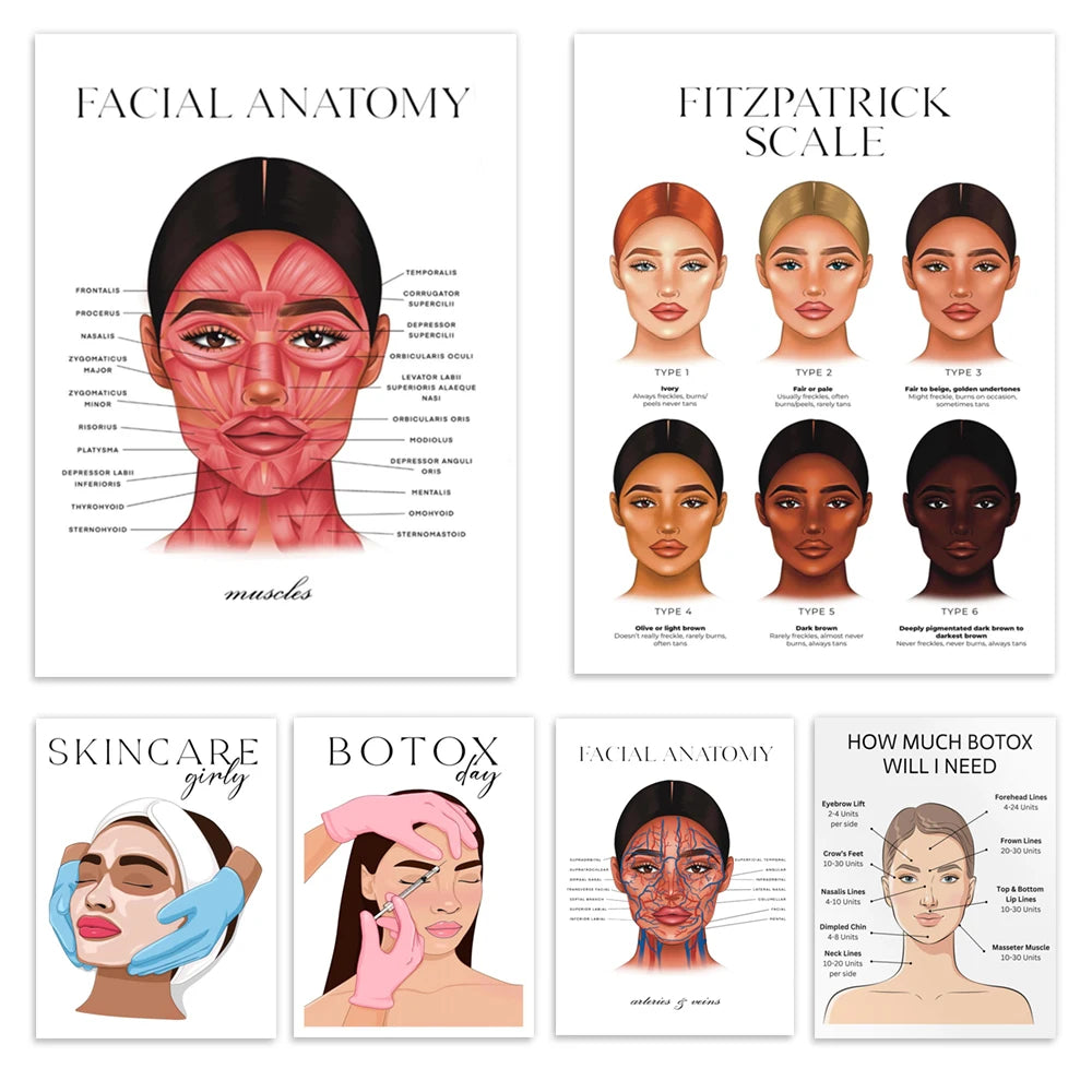 Facial muscles anatomy, veins, Fitzpatrick scale, nurse with syringe, anti-wrinkle treatment decor