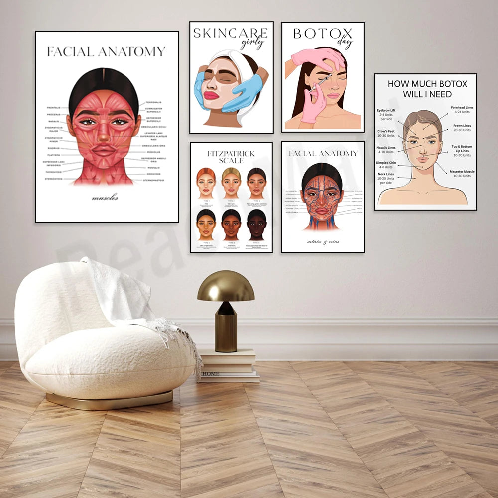 Facial muscles anatomy, veins, Fitzpatrick scale, nurse with syringe, anti-wrinkle treatment decor