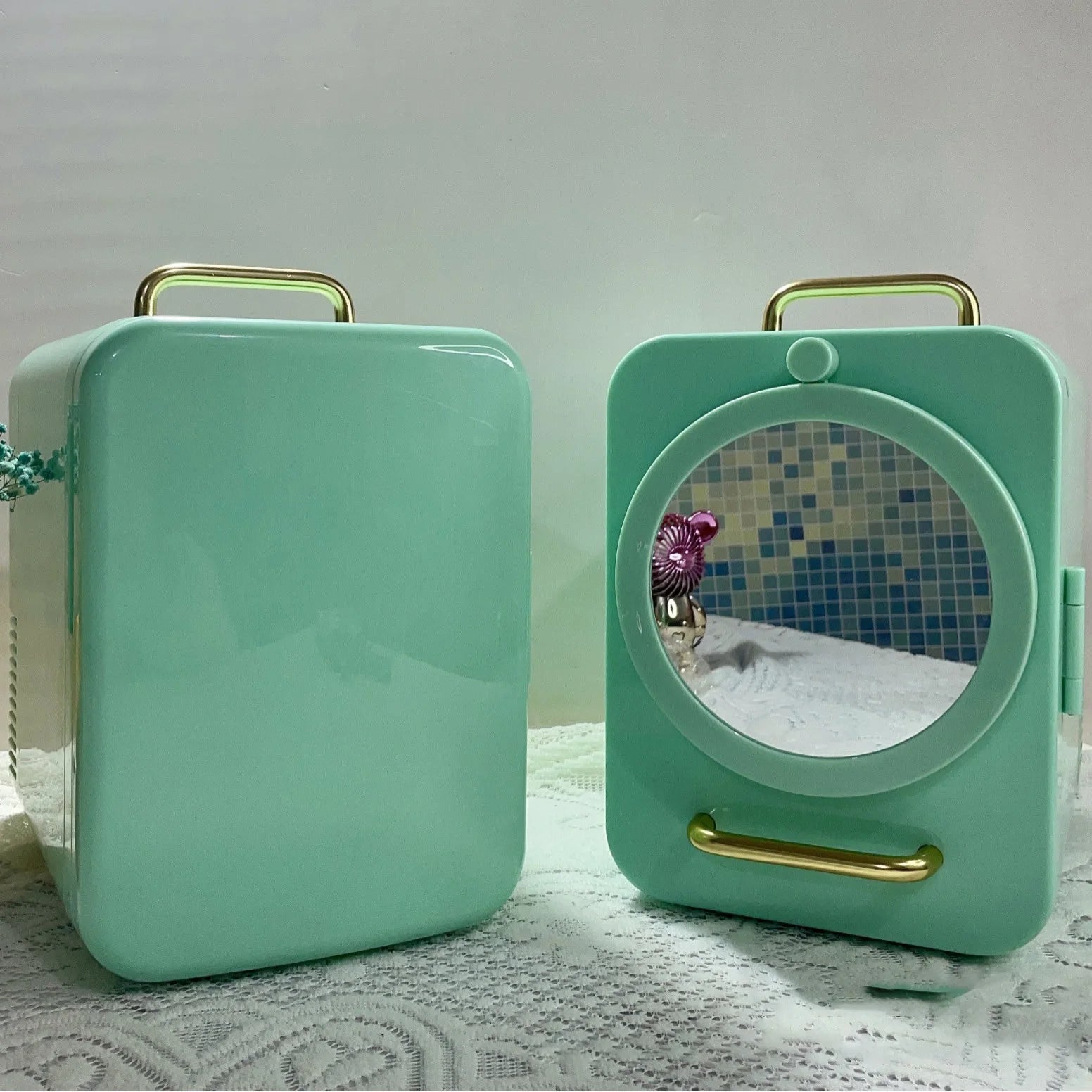 Small Portable Mini Refrigerator Beauty Fridge